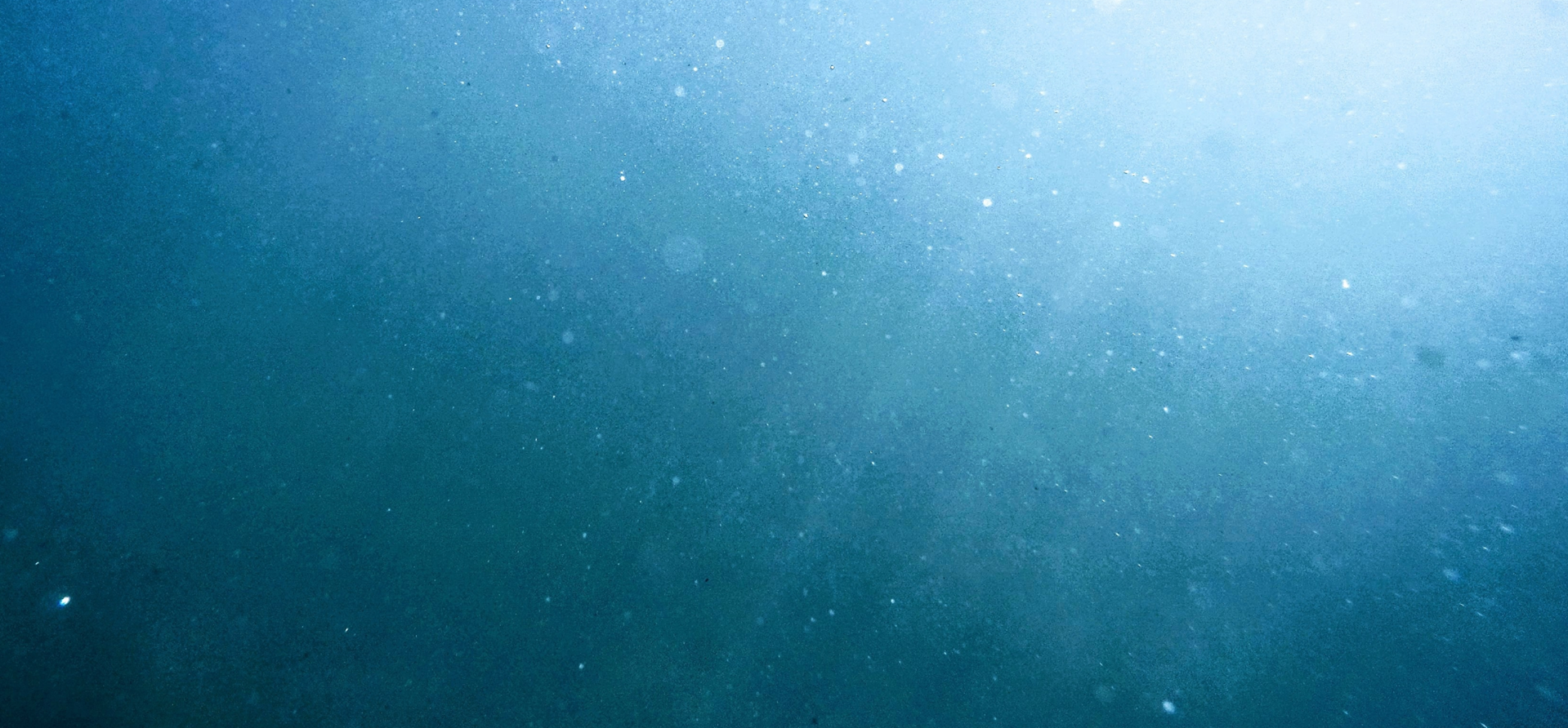 Efficient & Professional